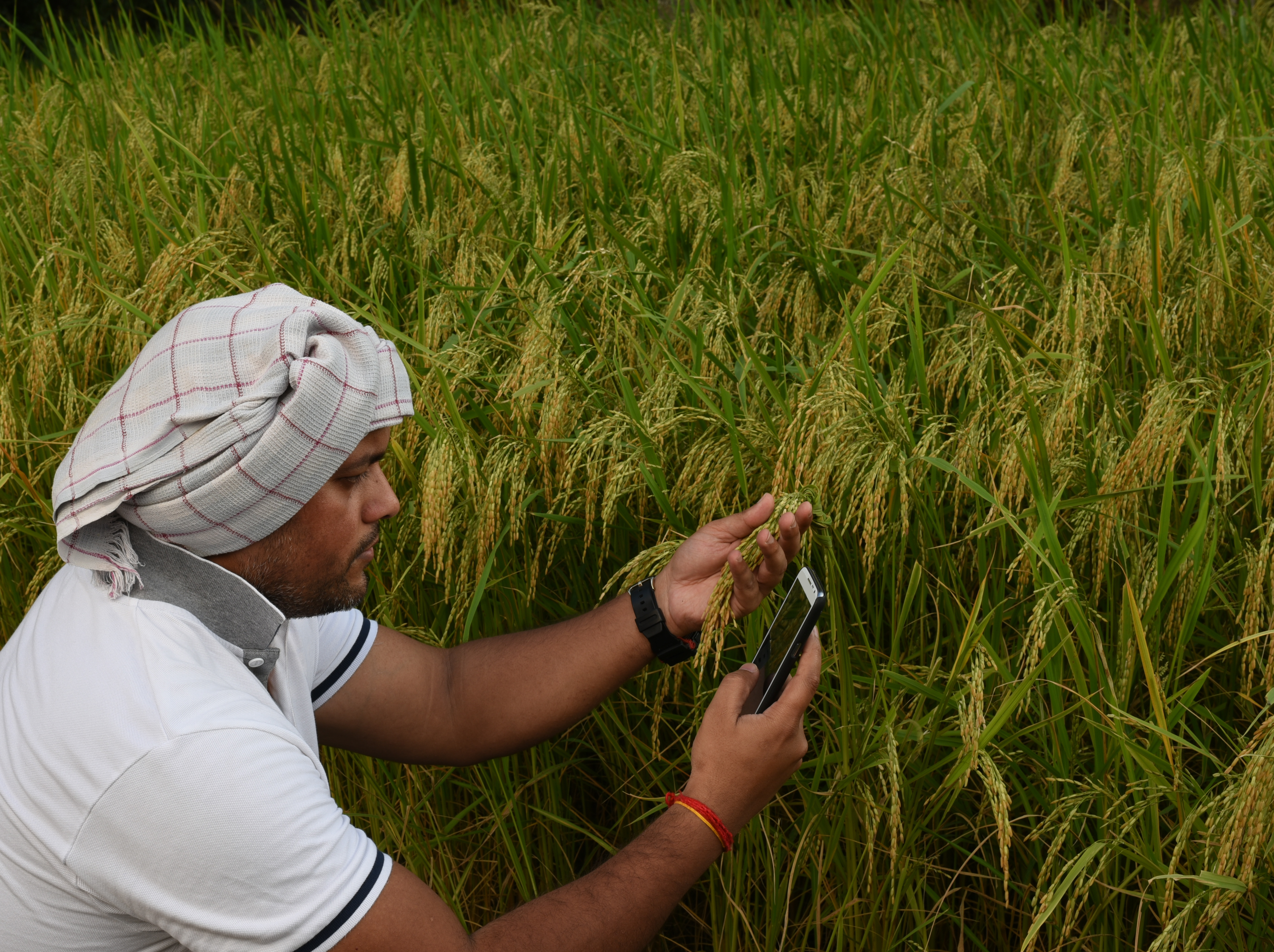 Tailor-made Services